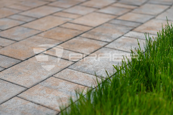 COLOR MIX «Койот»